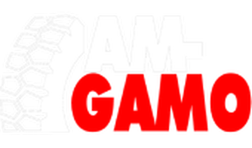 AM-GAMO